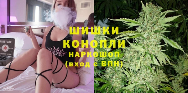 2c-b Новозыбков