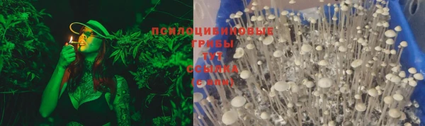 2c-b Новозыбков