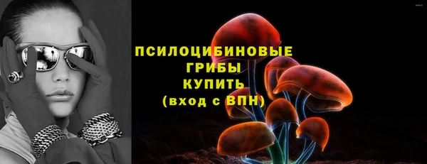 не бодяженный Новодвинск