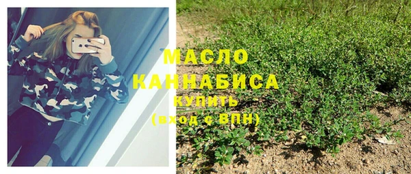 не бодяженный Новодвинск