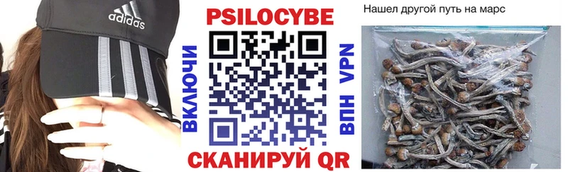 Купить где  Сокол  Псилоцибиновые грибы ЛСД 