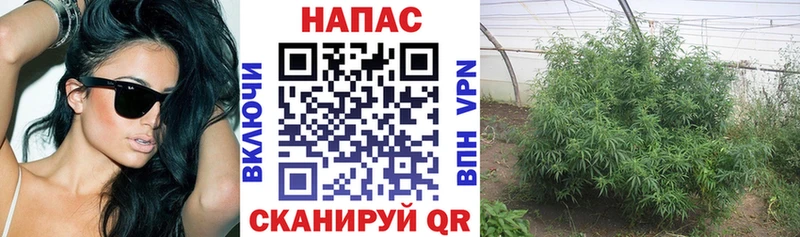 Канабис VHQ  Купить закладки  Сокол 
